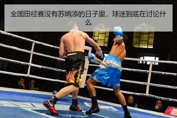 全国田径赛没有苏炳添的日子里，球迷到底在讨论什么（YOUBO）