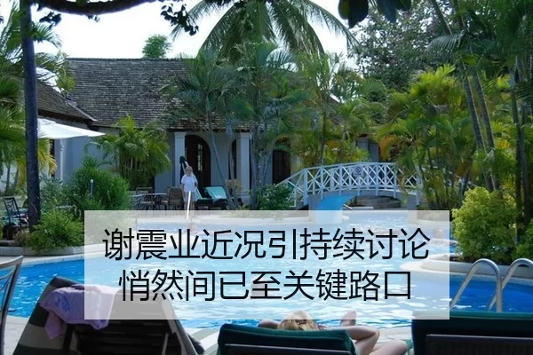 谢震业近况引持续讨论 悄然间已至关键路口（YOUBO）